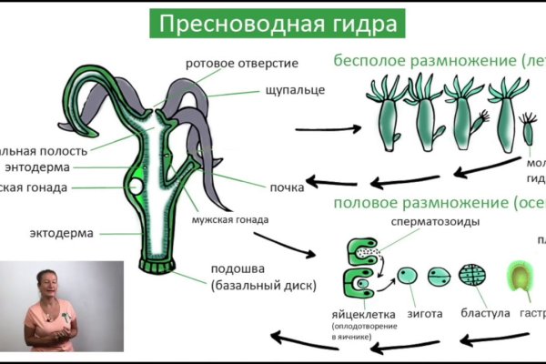 Как сделать заказ на кракен