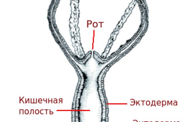 Сайт мега кракен