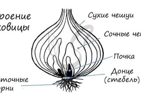 Kraken darknet ссылка тор