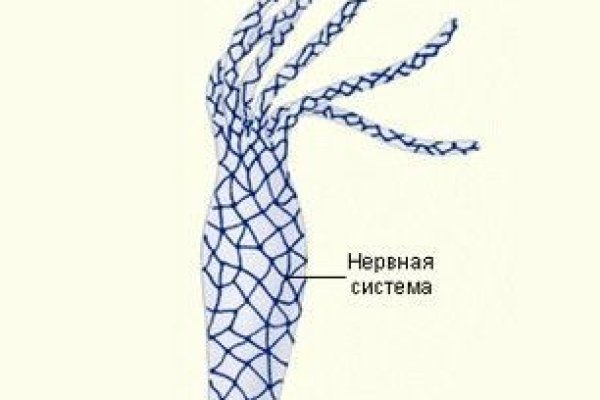 Кракен маркетплейс ссылка телеграмм