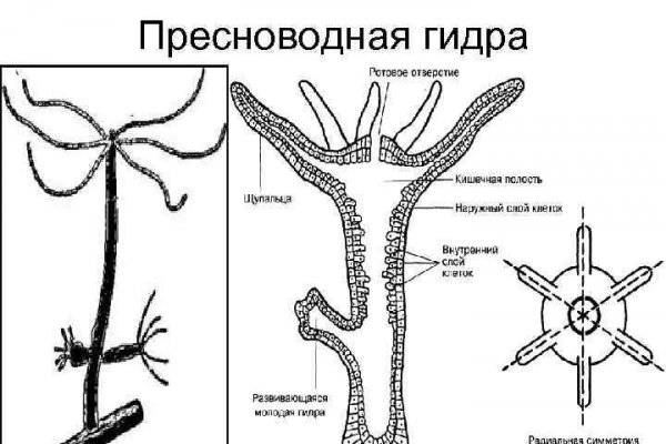 Кракен маркетплейс создатель