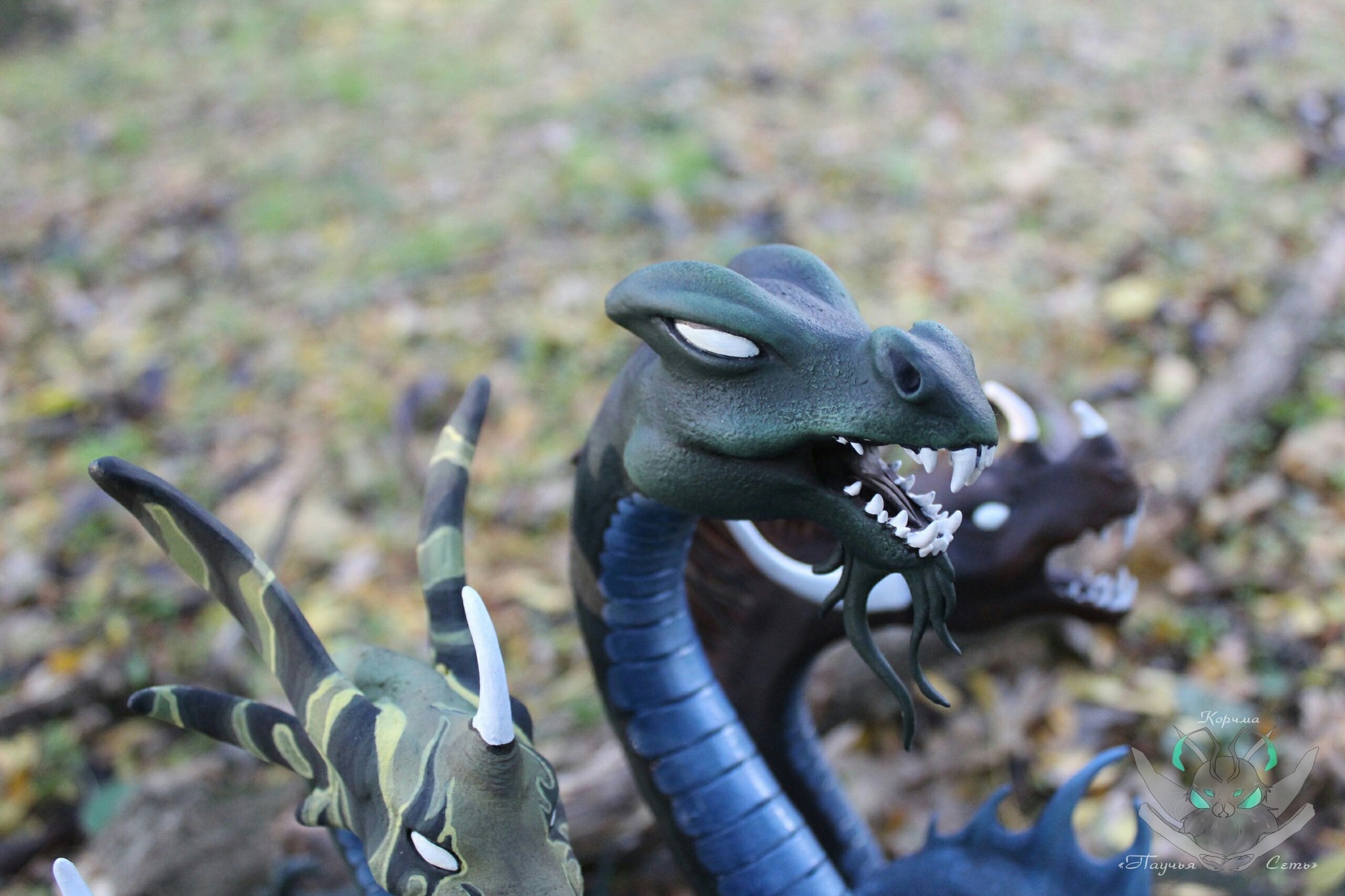 Kraken 6at